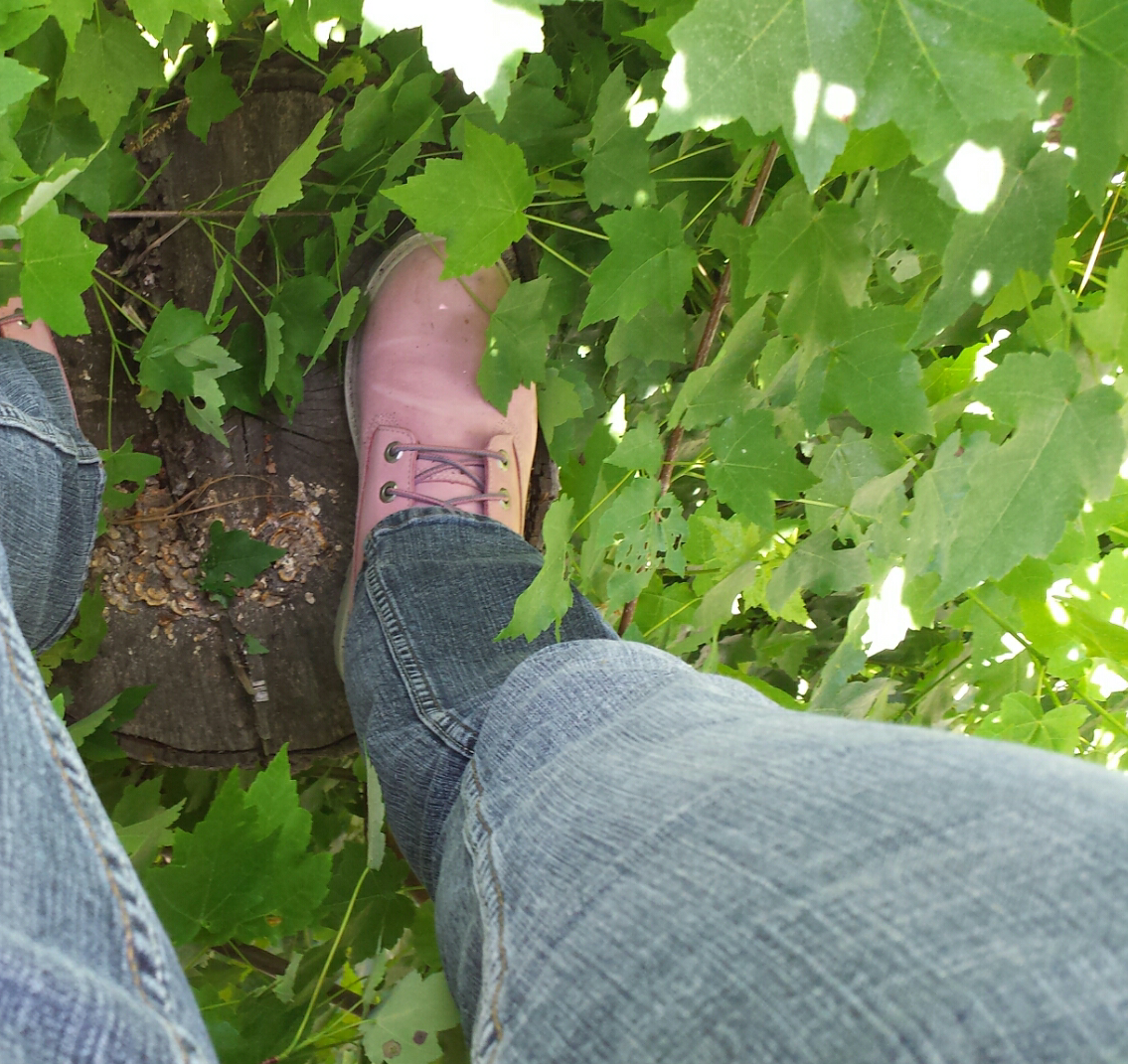 Pink workboot, blue jeans, and a tree top