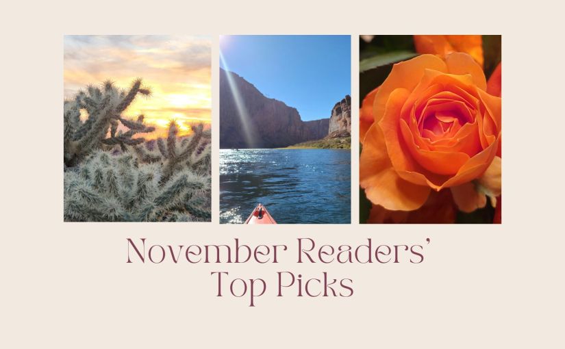 November Readers’ Top Picks